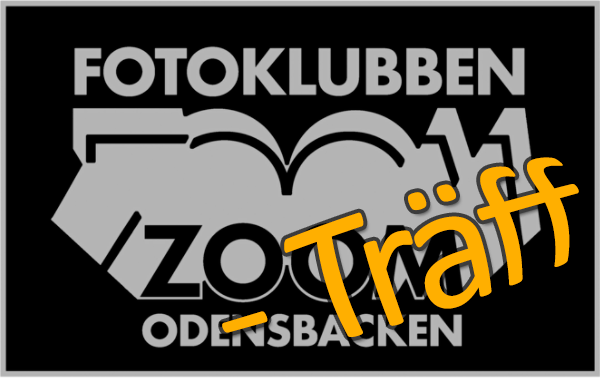 Läs mer om artikeln Zoom-Träff den 28 Jan