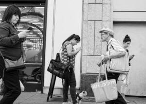 Läs mer om artikeln Årsmöte den 11/2