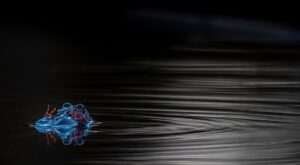 Läs mer om artikeln Mars månadsmöte – 10/3