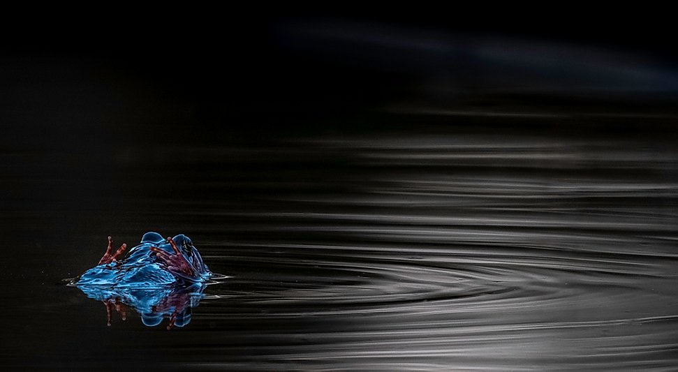 Du visar för närvarande Mars månadsmöte – 10/3