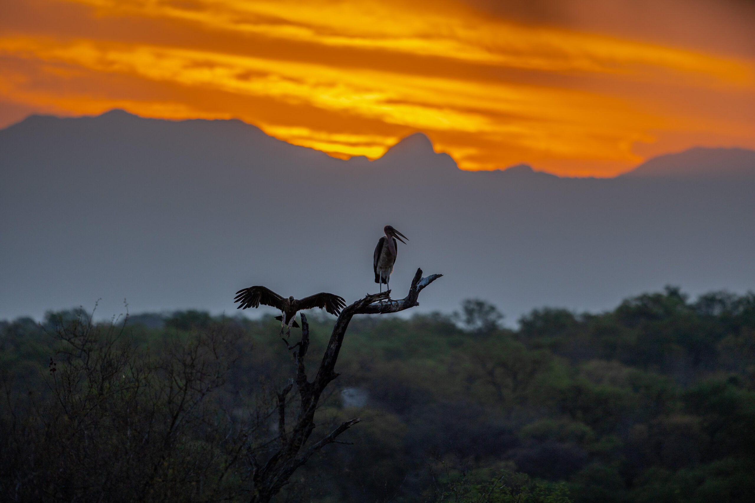 Du visar för närvarande Månadsmöte 11/1 – Årets första träff