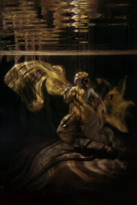 Läs mer om artikeln Kallelse årsmöte 11/2-2025 FK Zoom – Therese Asplund föreläser