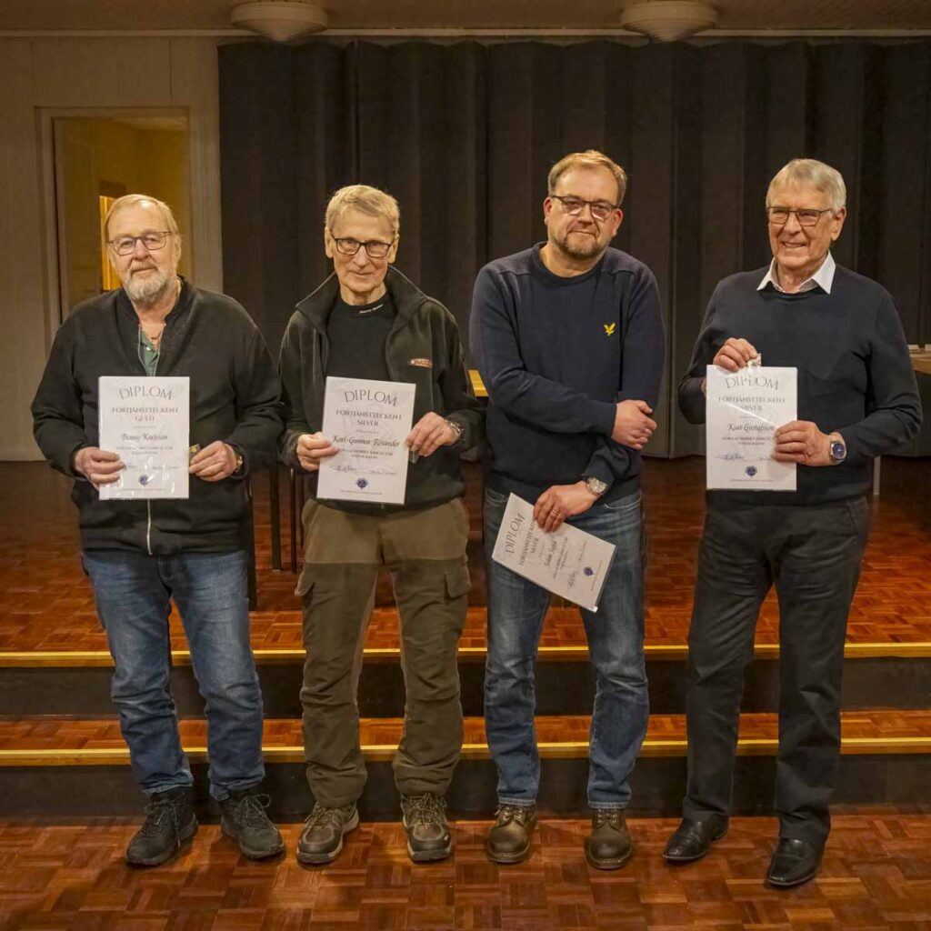 Utdelning av förtjänsttecken