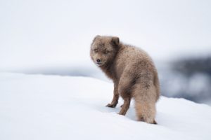Läs mer om artikeln Resultat Klubbmästerskap 2025