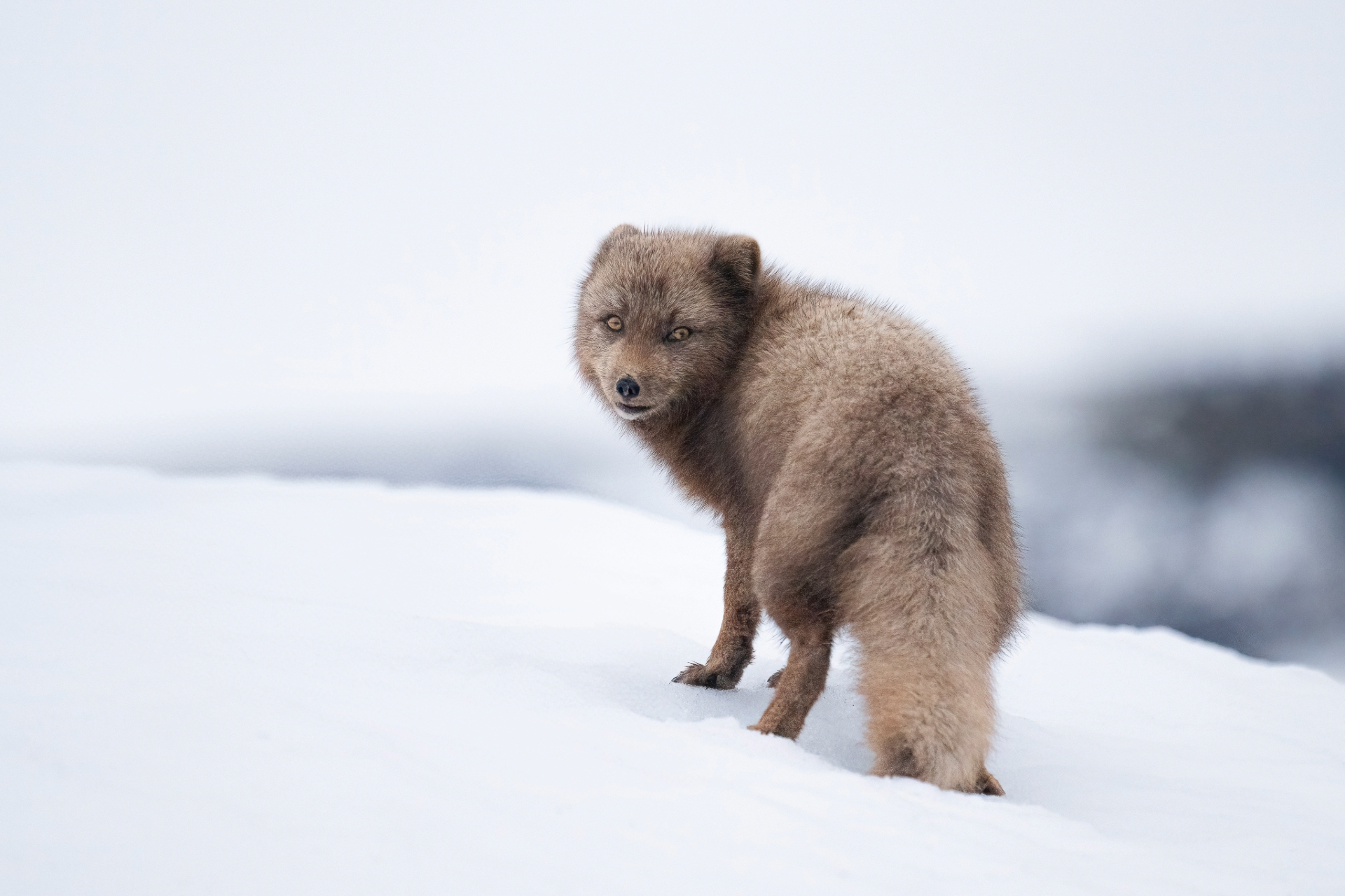 Läs mer om artikeln Resultat Klubbmästerskap 2025