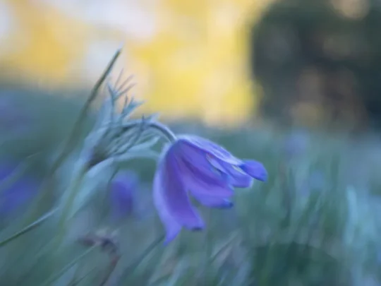 Klubbmöte 10 mars 18:30