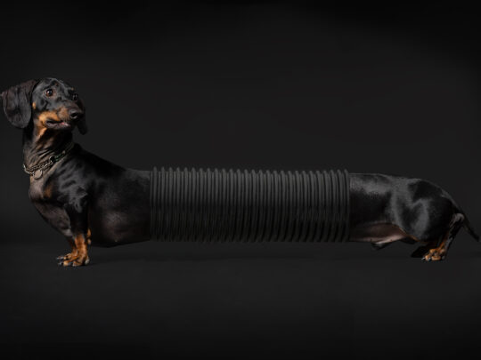 Resultat Månadens bild 2026